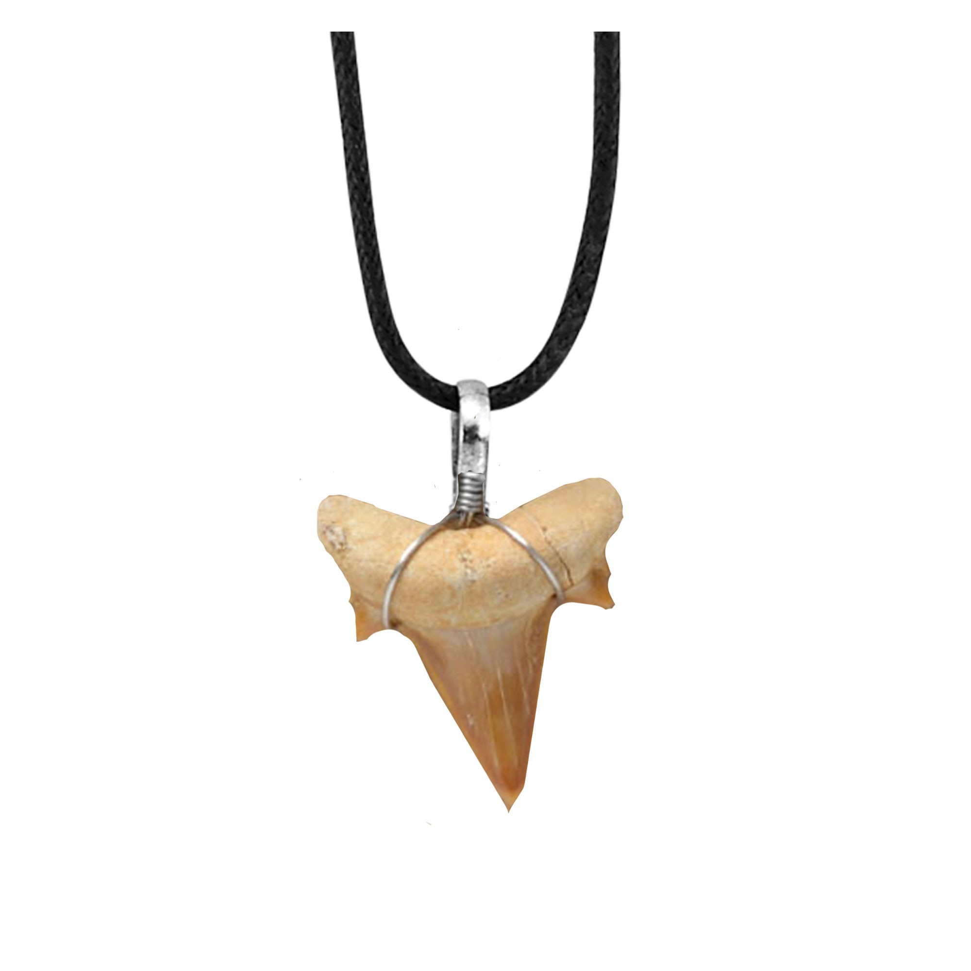 SHARK TOOTH PENDANT With BLACK CORD