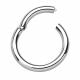 SURGICAL STEEL HINGED SEGMENT RING 1