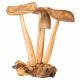 WOODEN 4 MUSHROOMS 2