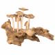 WOODEN CLUSTER OF MUSHROOMS ON DRIFTWOOD