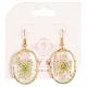 DRIED FLOWER OVAL EARRINGS 1