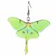 GREEN ACRYLIC MOTH EARRINGS 2