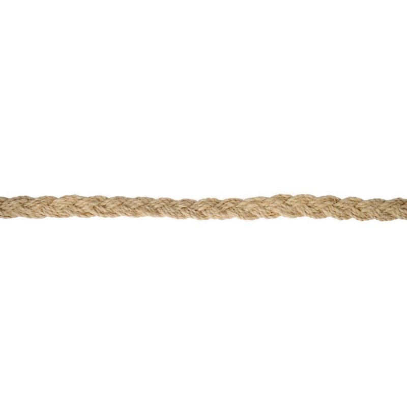1010W1