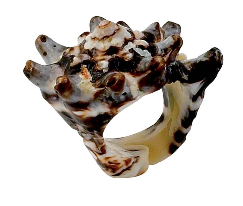 SEASHELL RINGS