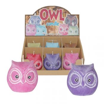 OWL CANDLES DISPLAY