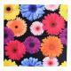 COLORFUL LARGE FLOWER FULL SIZE BANDANA 1