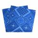 BLUE PAISLEY FULL SIZE BANDANA 2