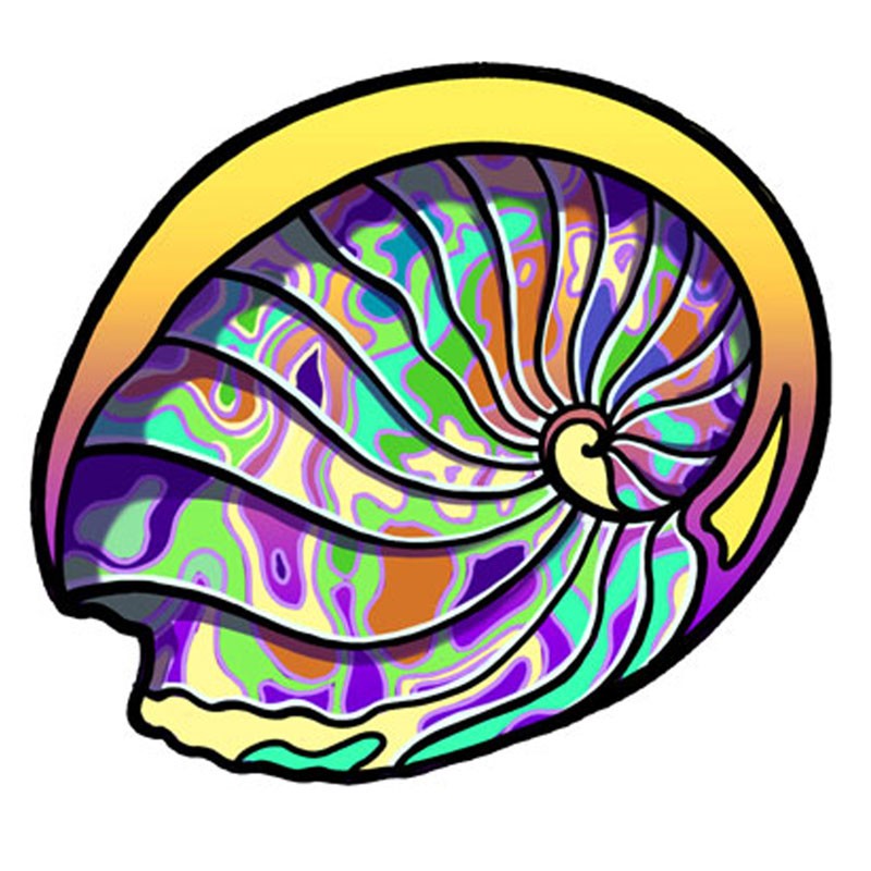 ABALONE SHELL EMBROIDERED PATCH