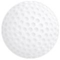 81044-Golfball