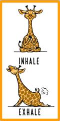 81055-Inhale-Exhale