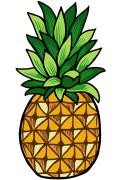 81081-Pineapple