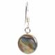 LARGE ABALONE SILVER EARRINGS 1